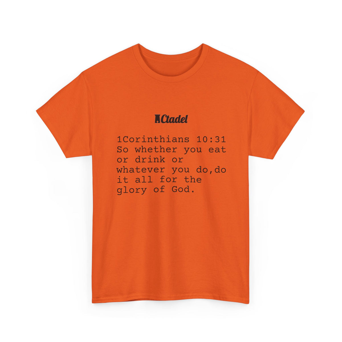 1 Corinthians 10:31 Christian T‑Shirt