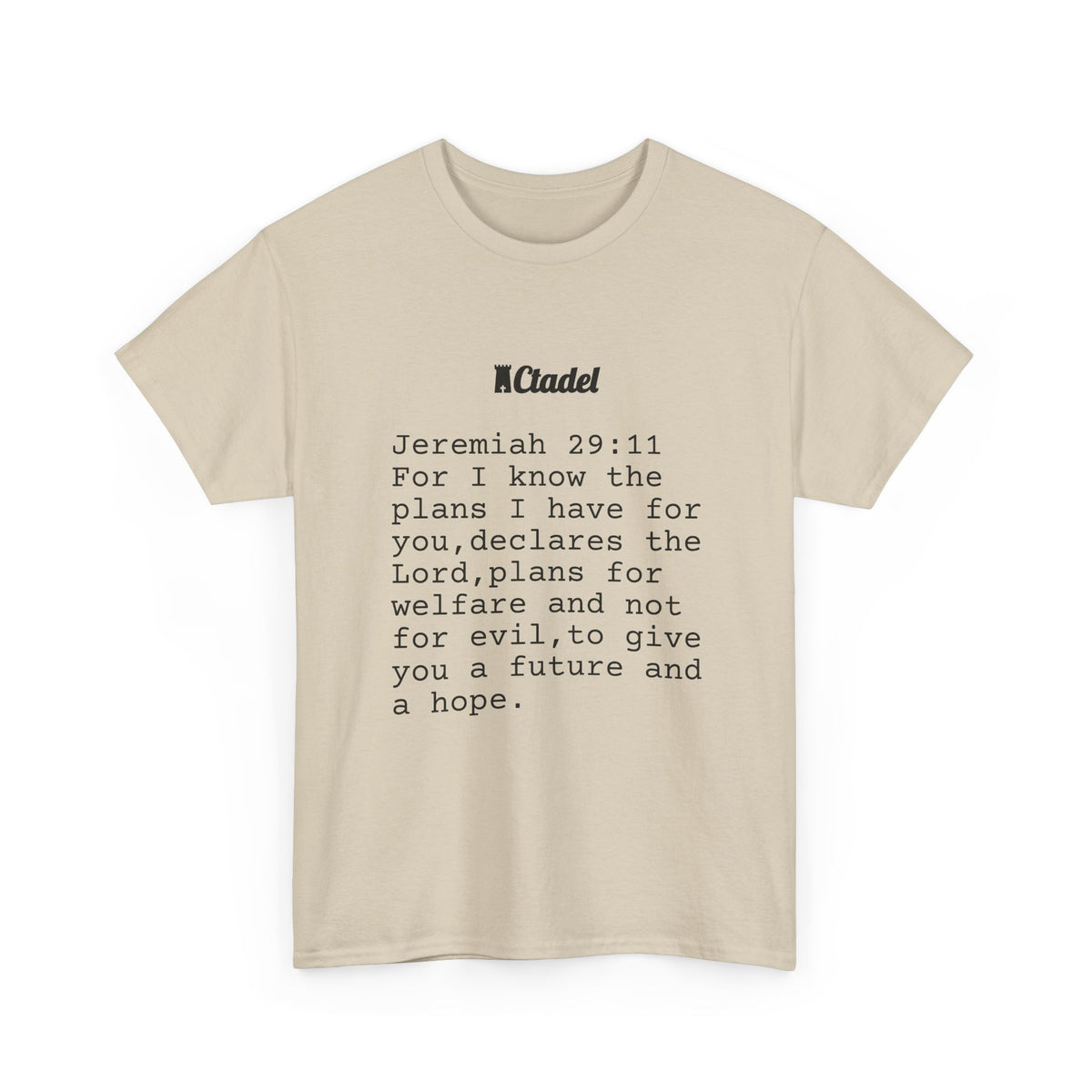 Jeremiah 29:11 Christian T‑Shirt