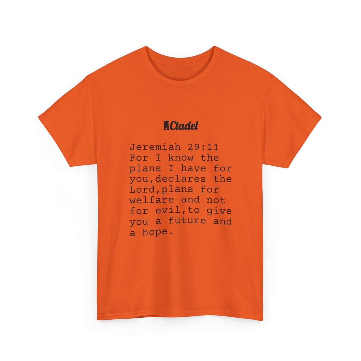Jeremiah 29:11 Christian T‑Shirt