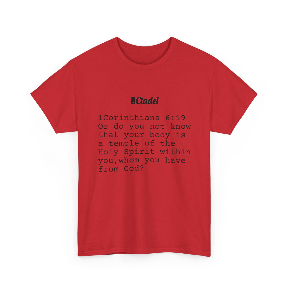 1 Corinthians 6:19 Christian T‑Shirt