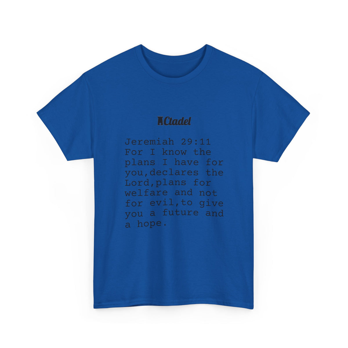 Jeremiah 29:11 Christian T‑Shirt