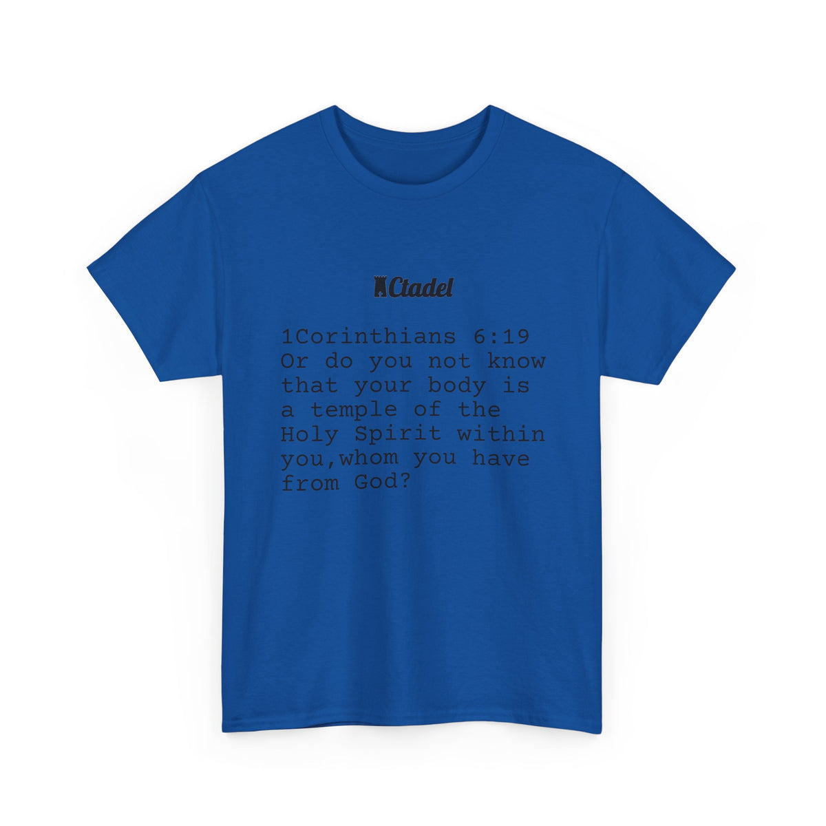1 Corinthians 6:19 Christian T‑Shirt