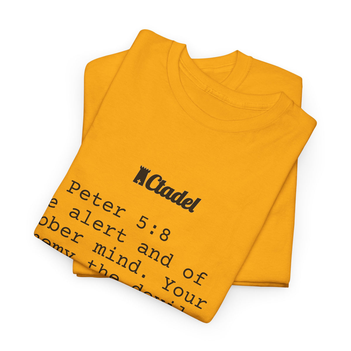 1 Peter 5:8 Christian T‑Shirt