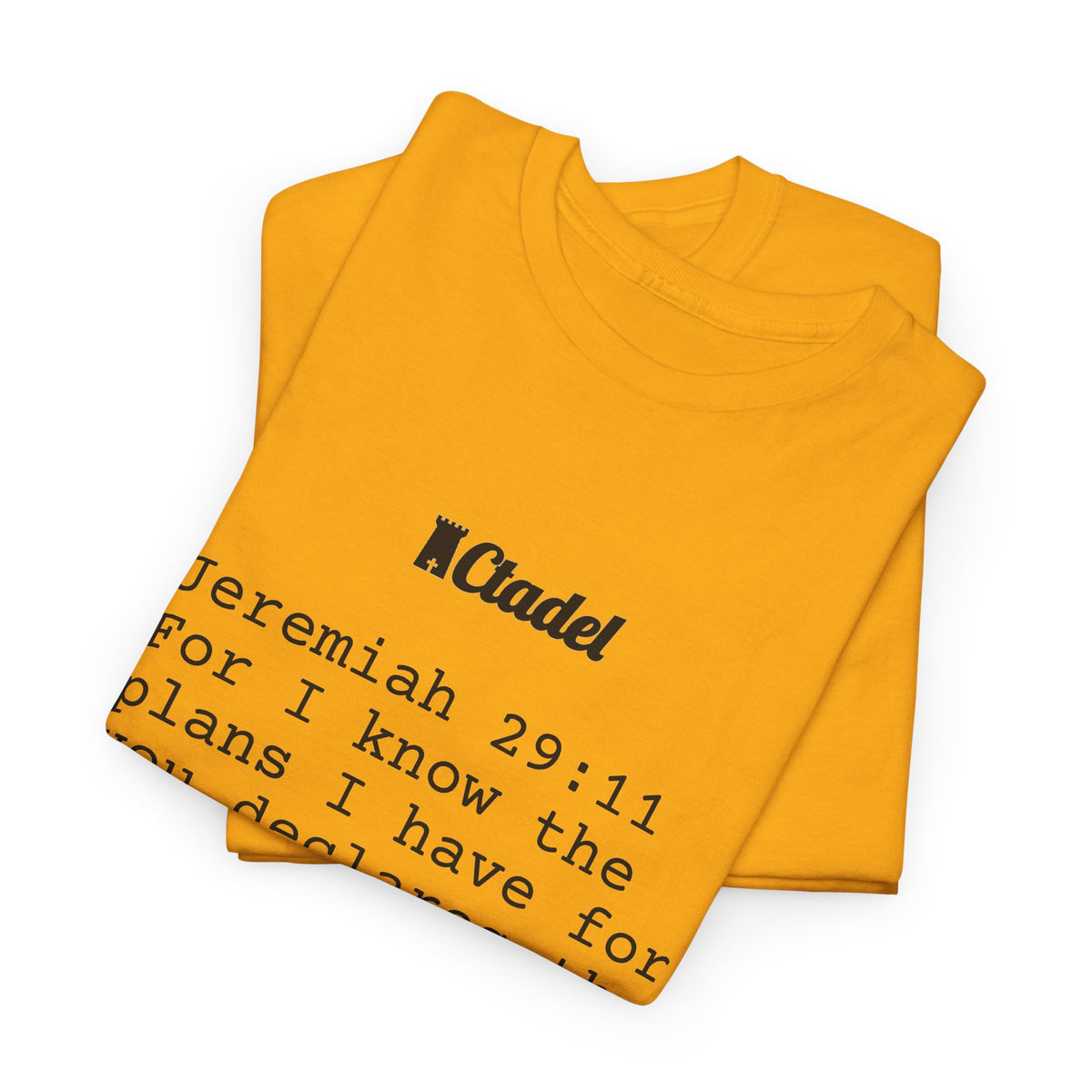Jeremiah 29:11 Christian T‑Shirt