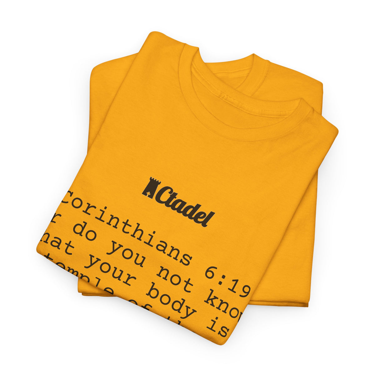 1 Corinthians 6:19 Christian T‑Shirt