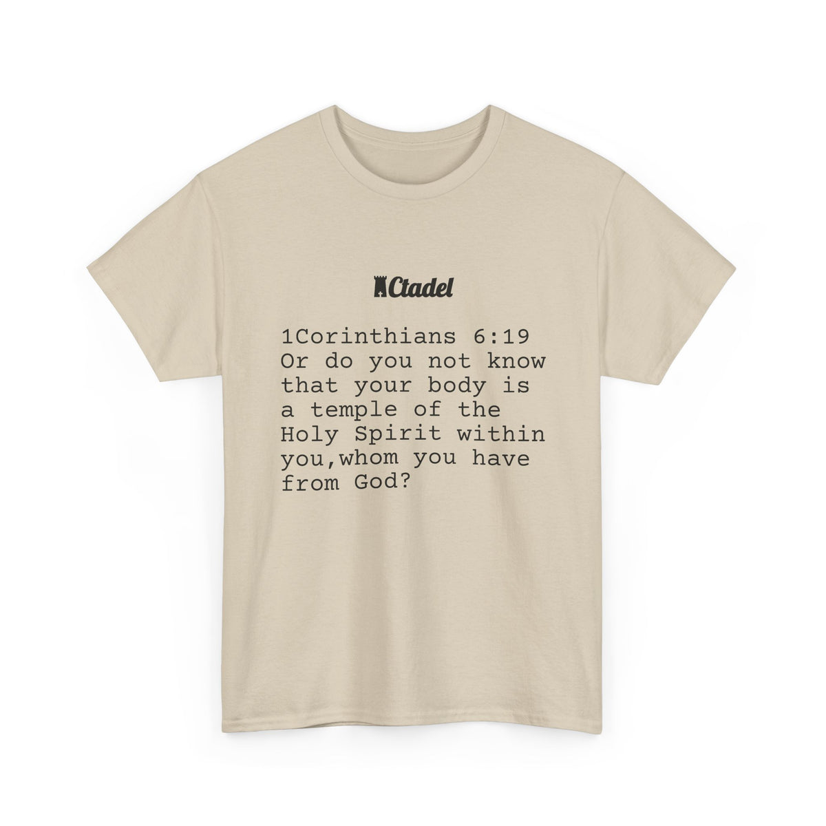 1 Corinthians 6:19 Christian T‑Shirt