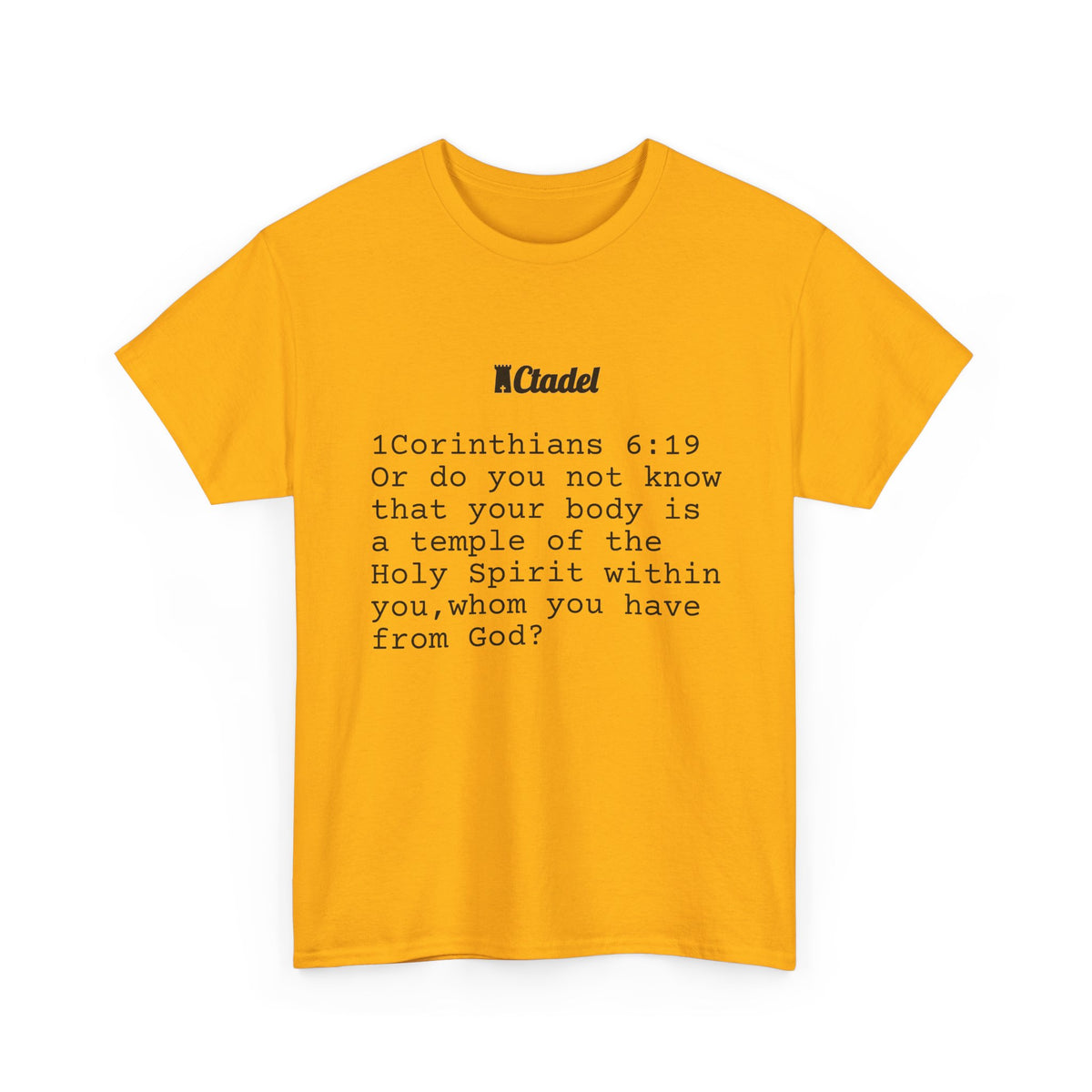 1 Corinthians 6:19 Christian T‑Shirt