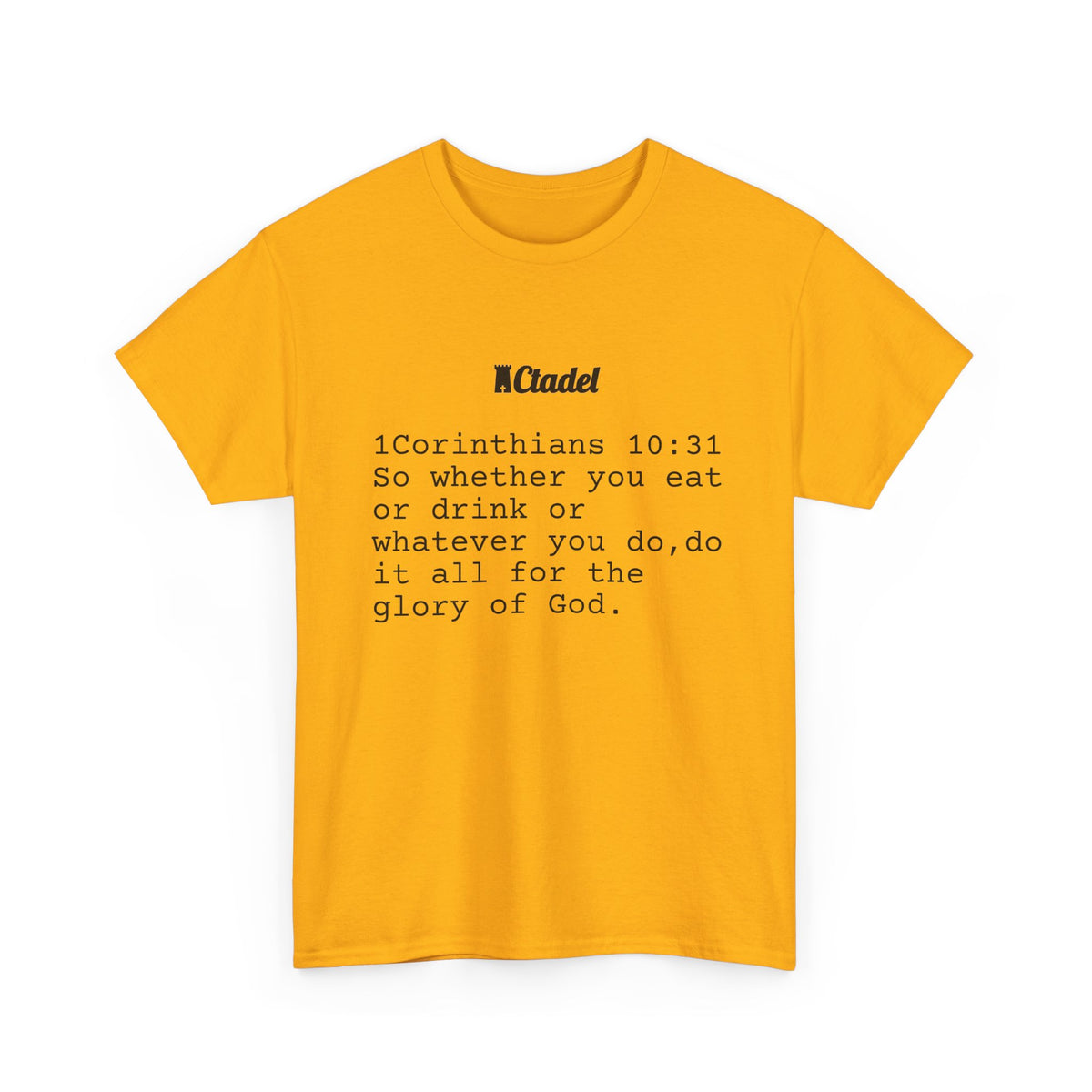 1 Corinthians 10:31 Christian T‑Shirt