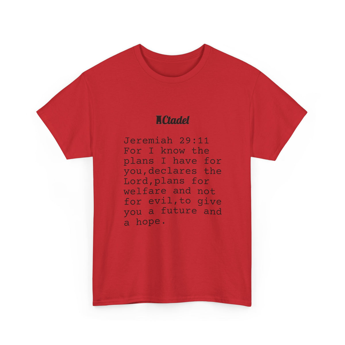 Jeremiah 29:11 Christian T‑Shirt