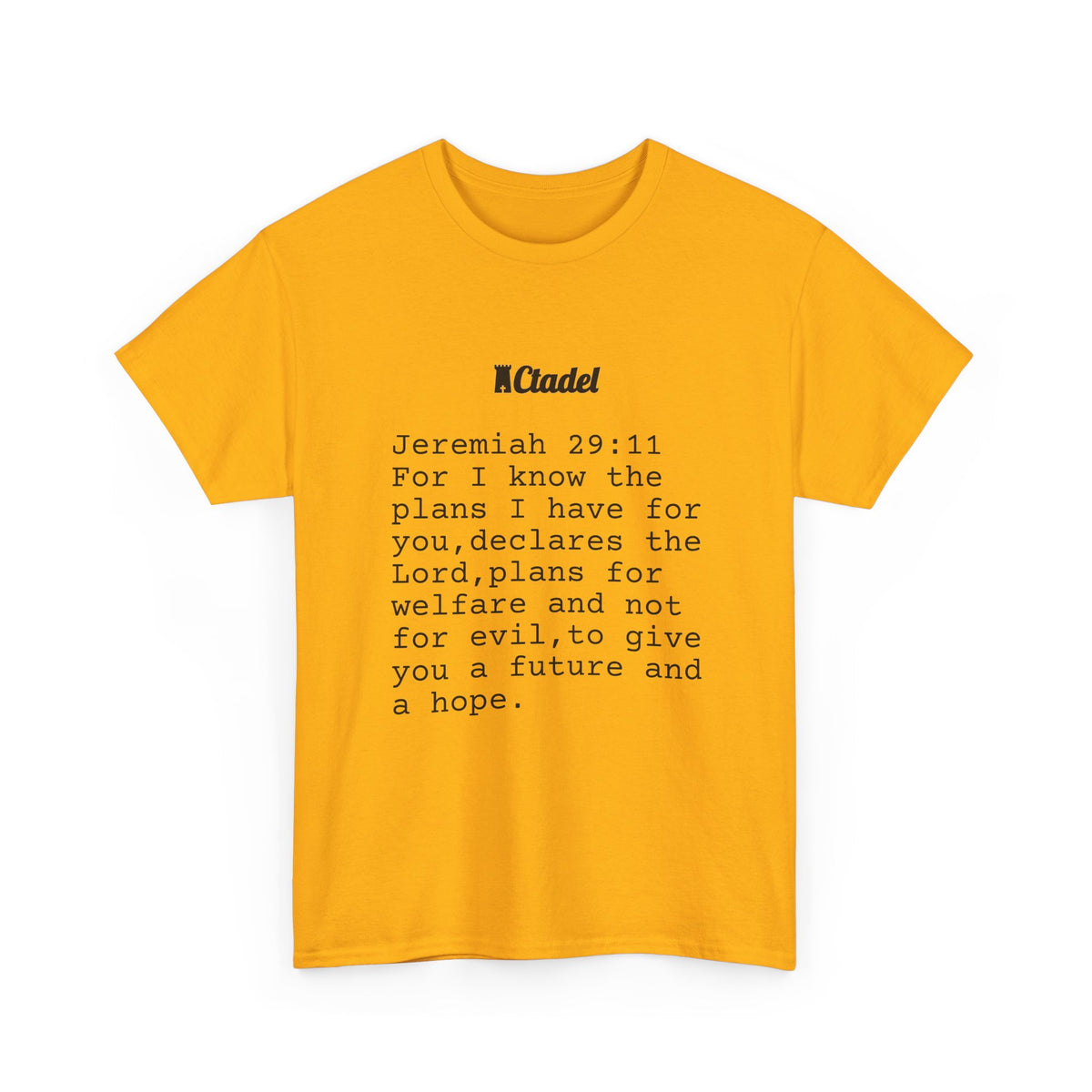 Jeremiah 29:11 Christian T‑Shirt