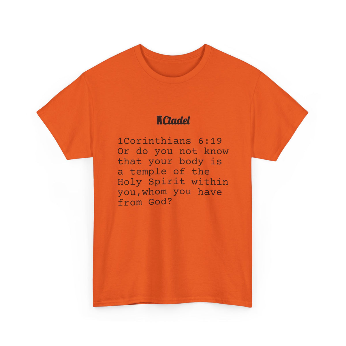 1 Corinthians 6:19 Christian T‑Shirt