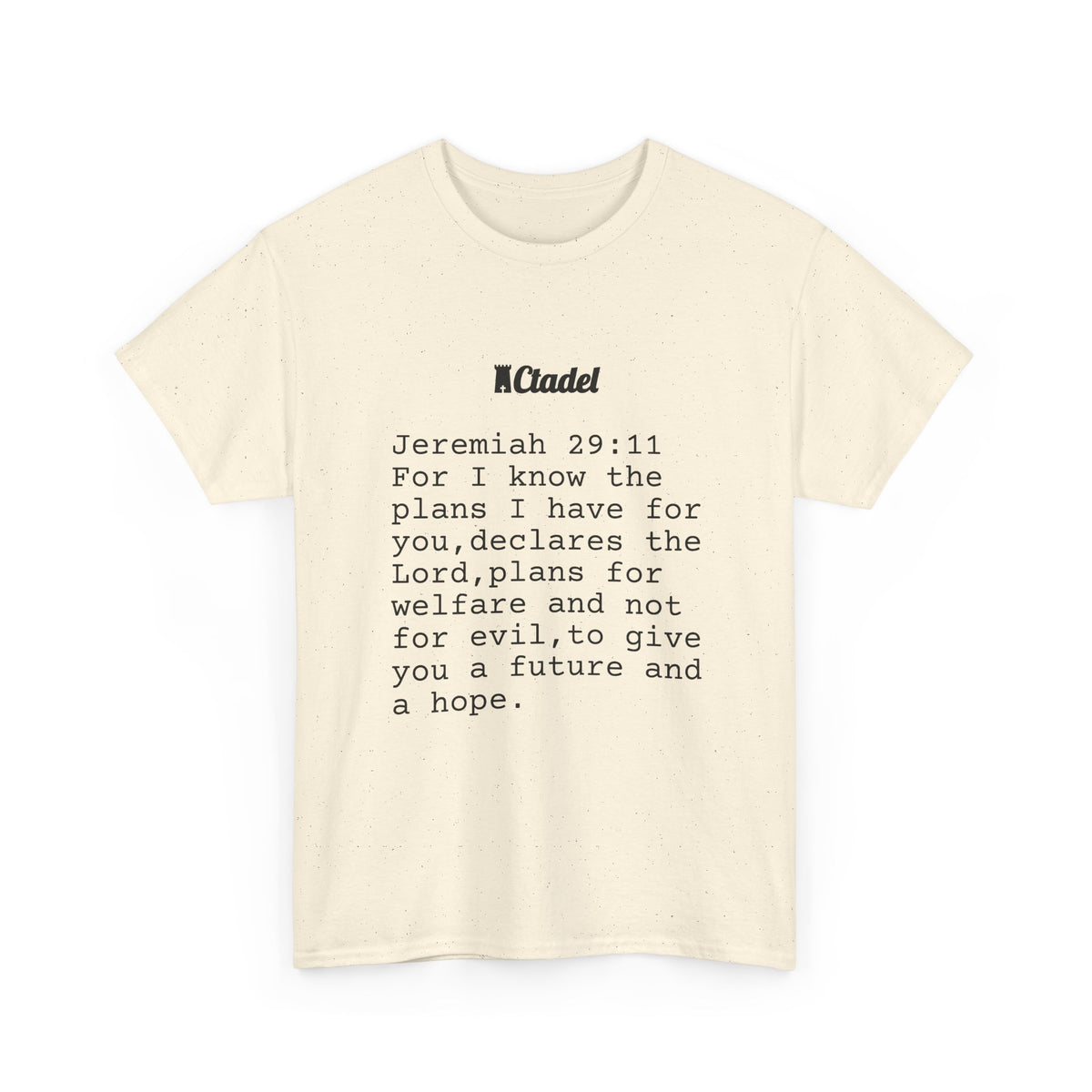 Jeremiah 29:11 Christian T‑Shirt